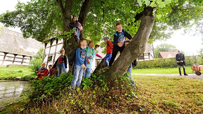 A group of pupils climbing on a tree.