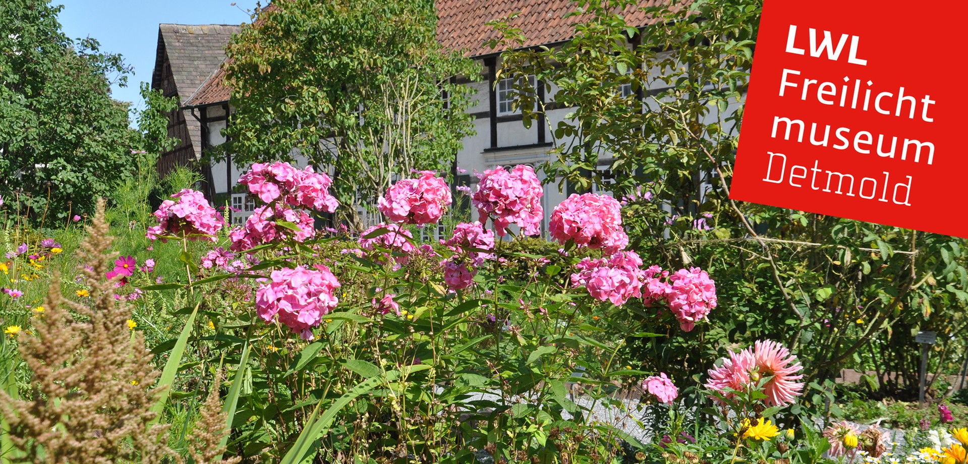 Einer unserer Gärten mit einer blühenden Blume im Vordergrund, im Hintergrund hinter den Sträuchern eines unserer Häuser im Paderborner Dorf.