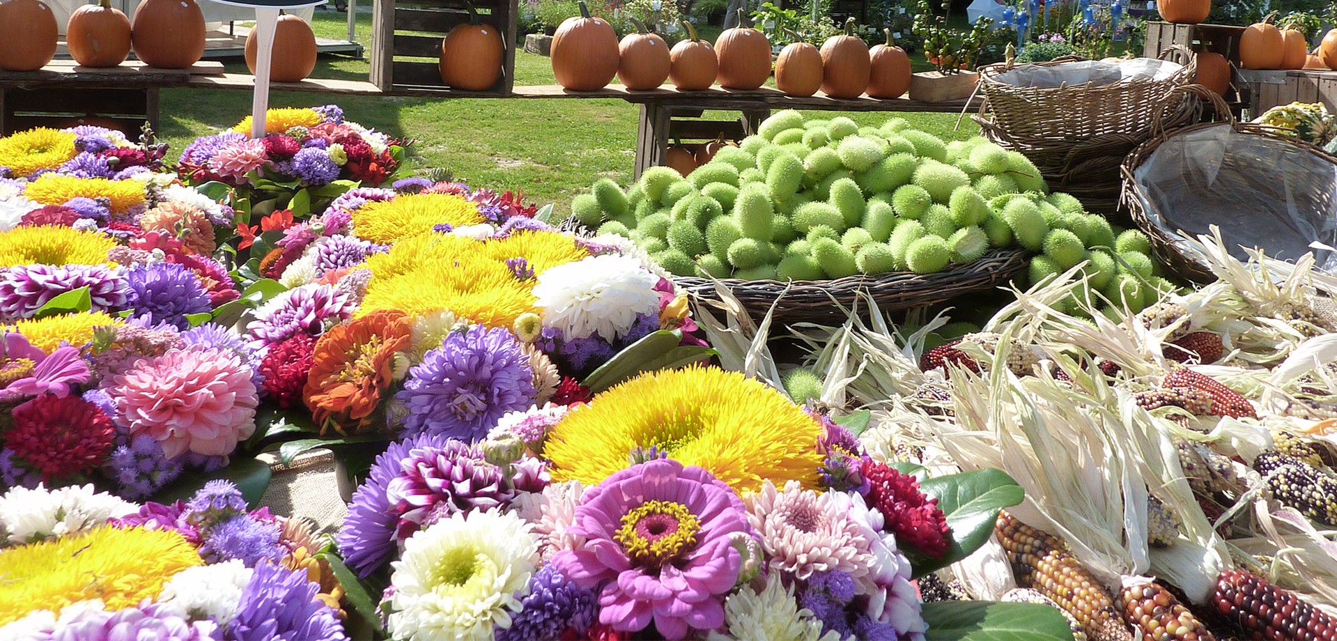 The entrance area in the open-air museum during the event FRELICHTgenuss. There are different types of flowers and punpkins.