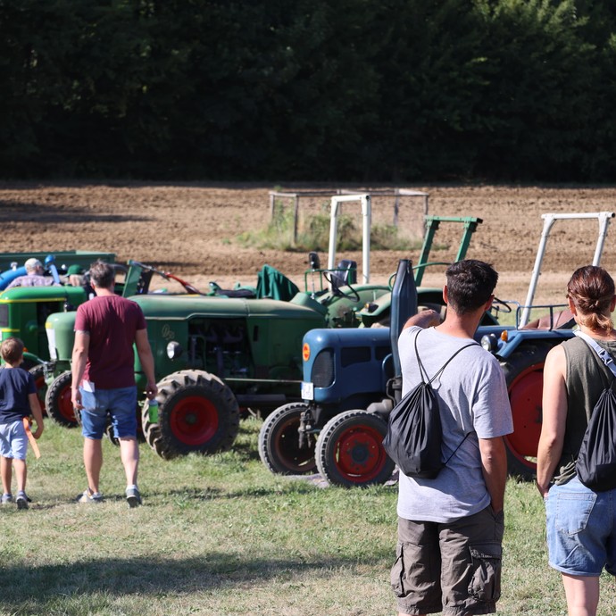 Vintage tractors at the edge of the field. (Enlarged picture view opens)