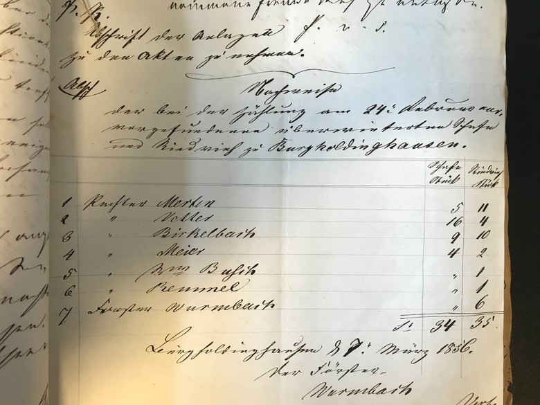 Aktenauszug aus dem Archiv Fürstenberg Herdringen, hier ist eine Viehzählung von 1856 dokumentiert.