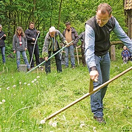 Eine Gruppe von Erwachsenen, die mit einer Sense das Gras mäht.