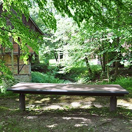 Eine Holzbank an der freien Luft. Im Hintergrund der Gräftenhof