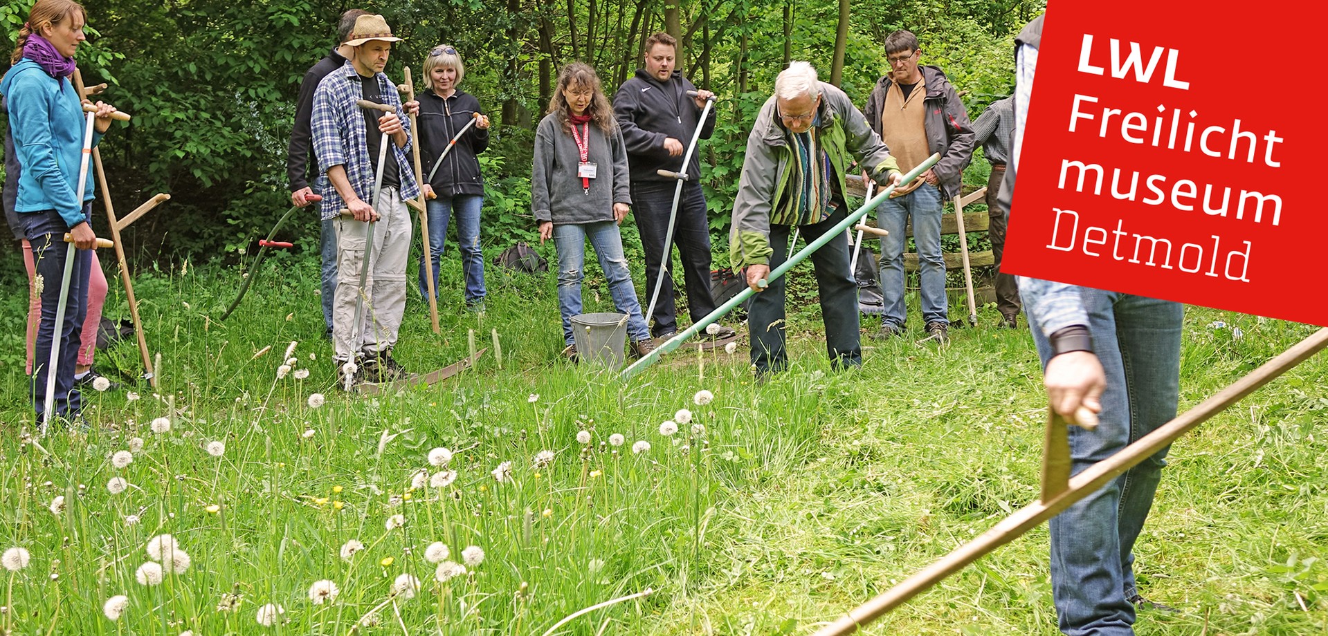 Eine Gruppe von Erwachsenen, die mit einer Sense das Gras mähen.