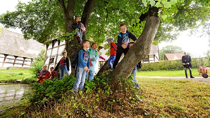 Eine Gruppe von Schülern, die in einem Baum herumklettern. Eine Gruppe von Schülern, die in einem Baum herumklettern.