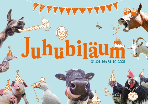 Rund um den Schriftzug Juhubiläum feiern Esel, Ente, Schweine, Gans, Kuh, Hühner, Ziege und Pferd eine Party.