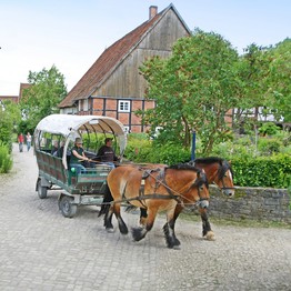 Eine von zwei Pferden gezogene Kutsche fährt über die Dorfstraße im Paderborner Dorf.